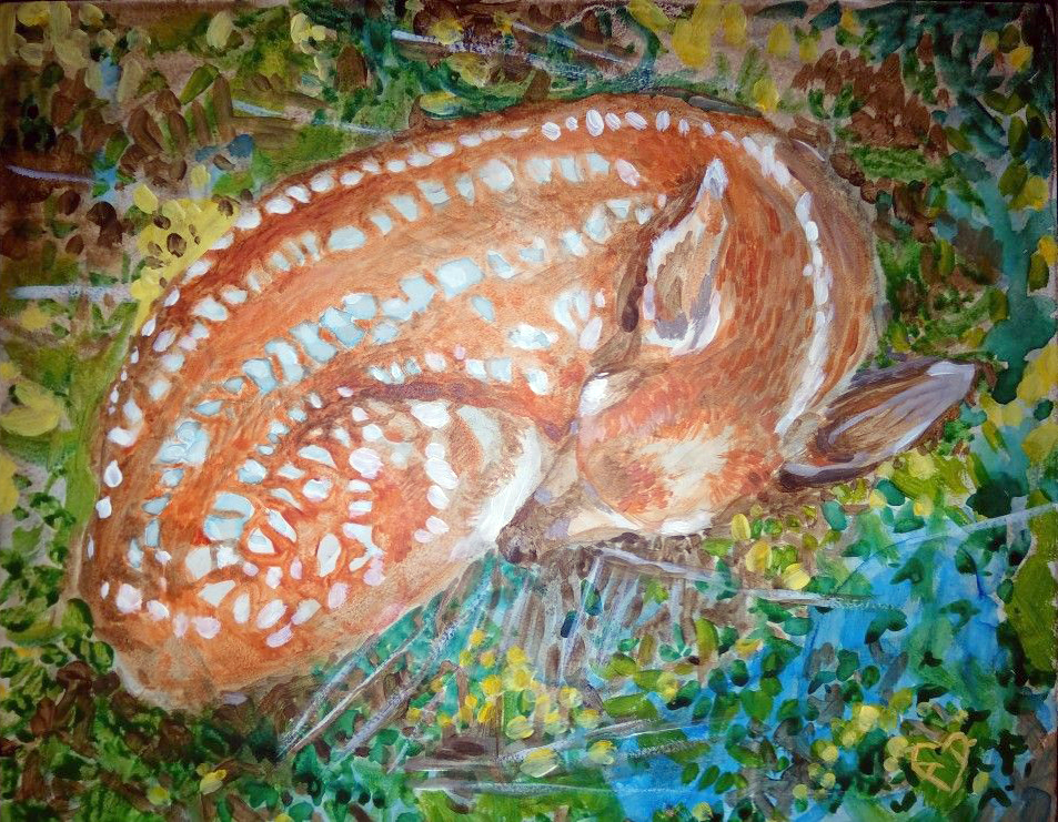 Painting of a young deer, a fawn.